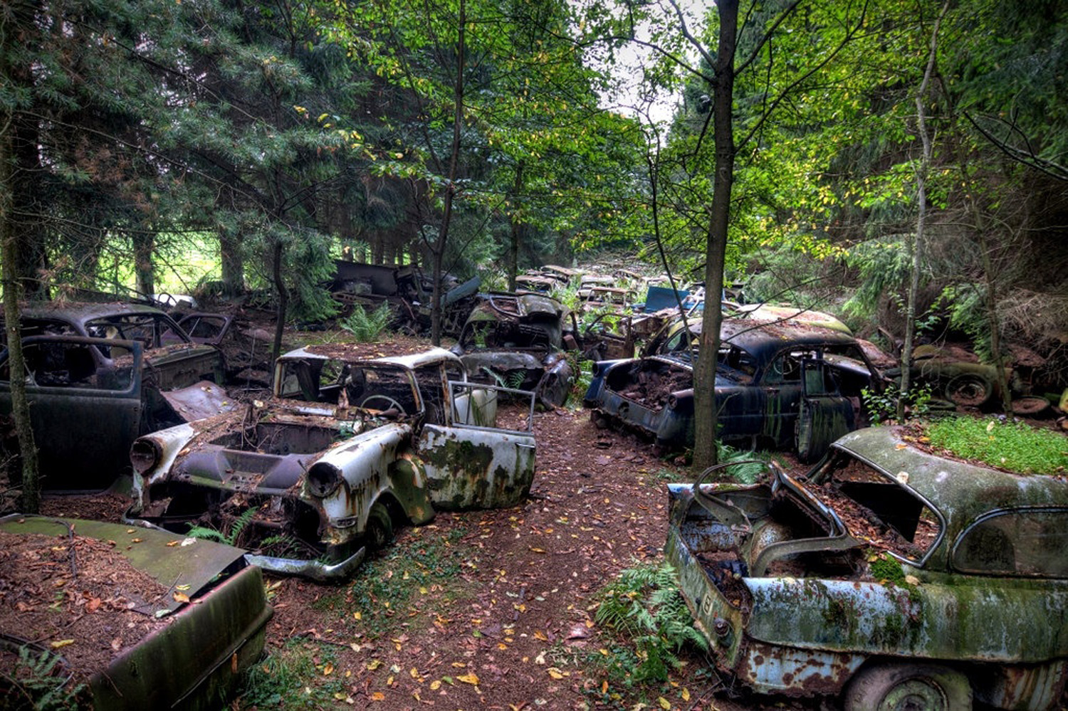 Милиони во р’ѓа: 6 мистериозни автомобилски гробишта